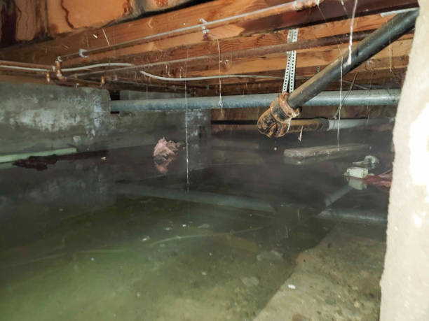 Best Water damage contractors near me  in Byrnes Mill, MO