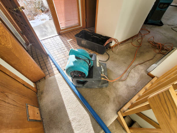 Best Residential water damage restoration  in Byrnes Mill, MO