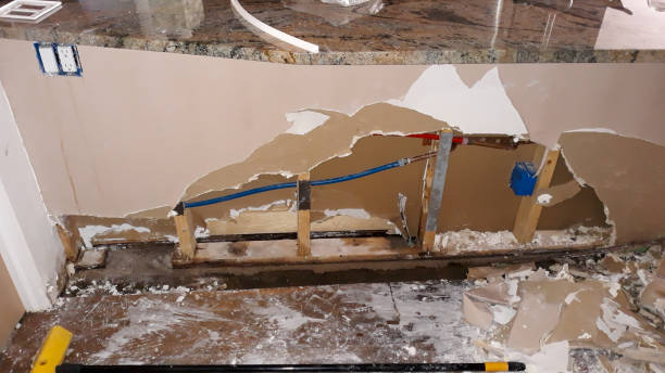Best Professional water damage repair  in Byrnes Mill, MO