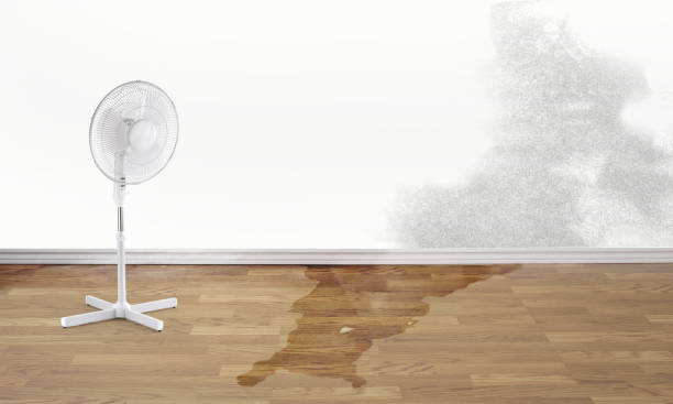 Sewage cleanup and water damage restoration in MO