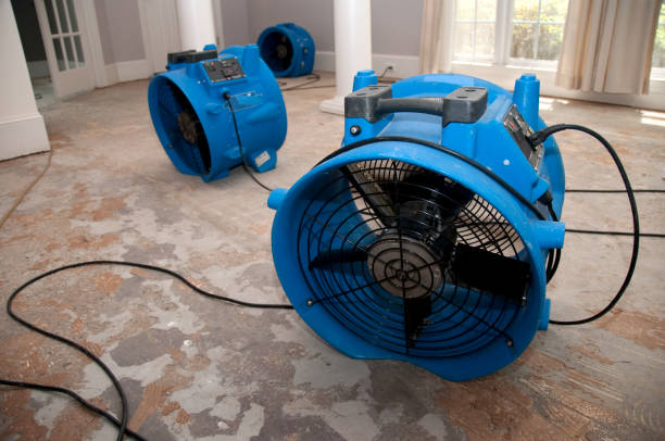 Professional Water damage restoration in MO