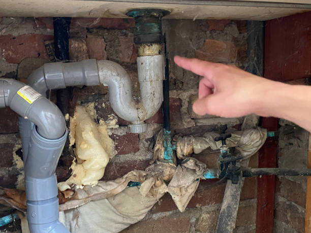 Best Fire Damage Restoration  in Byrnes Mill, MO