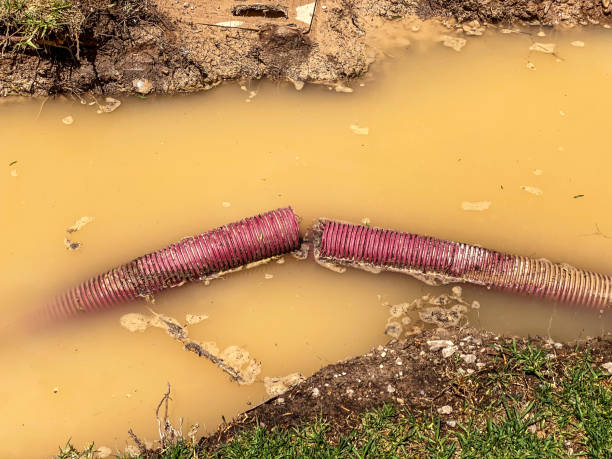 Best Residential water damage restoration  in Byrnes Mill, MO