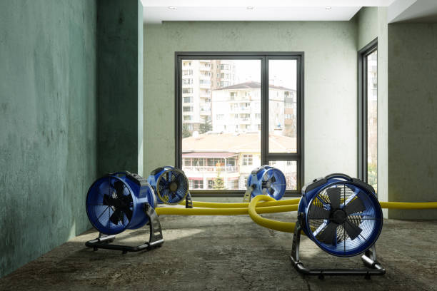 Best Emergency water damage restoration  in Byrnes Mill, MO