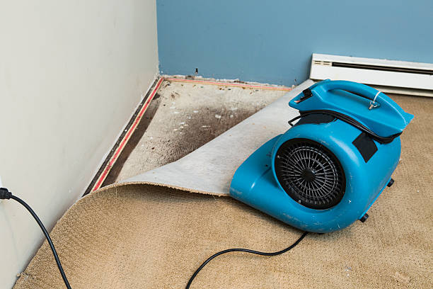 Best Water damage restoration specialists  in Byrnes Mill, MO